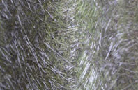 Macduff fibreglass roof work